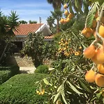 De Michanna Βίλα Αναρίτα