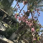 Βίλα De Michanna Αναρίτα