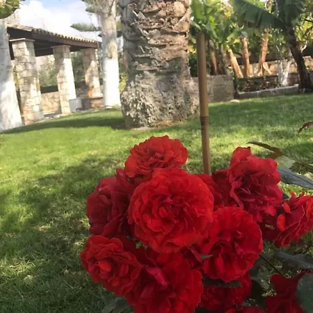 Vilă De Michanna Anarita