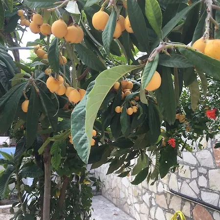 De Michanna Villa Anarita