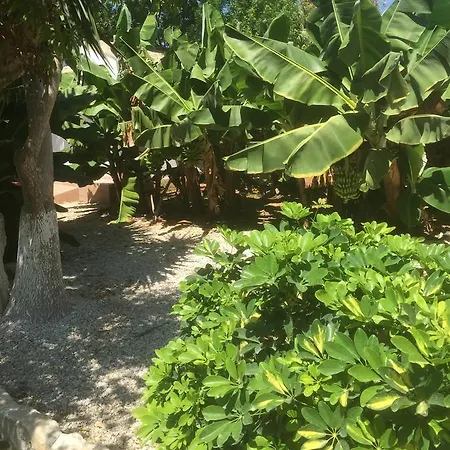 Villa De Michanna *