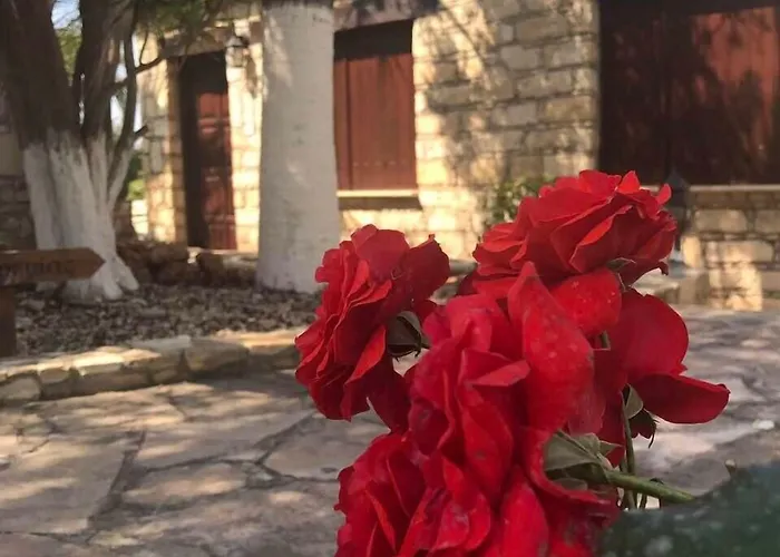 De Michanna Vila Anarita