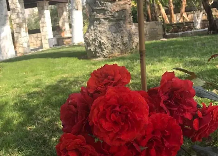 Villa De Michanna Anarita